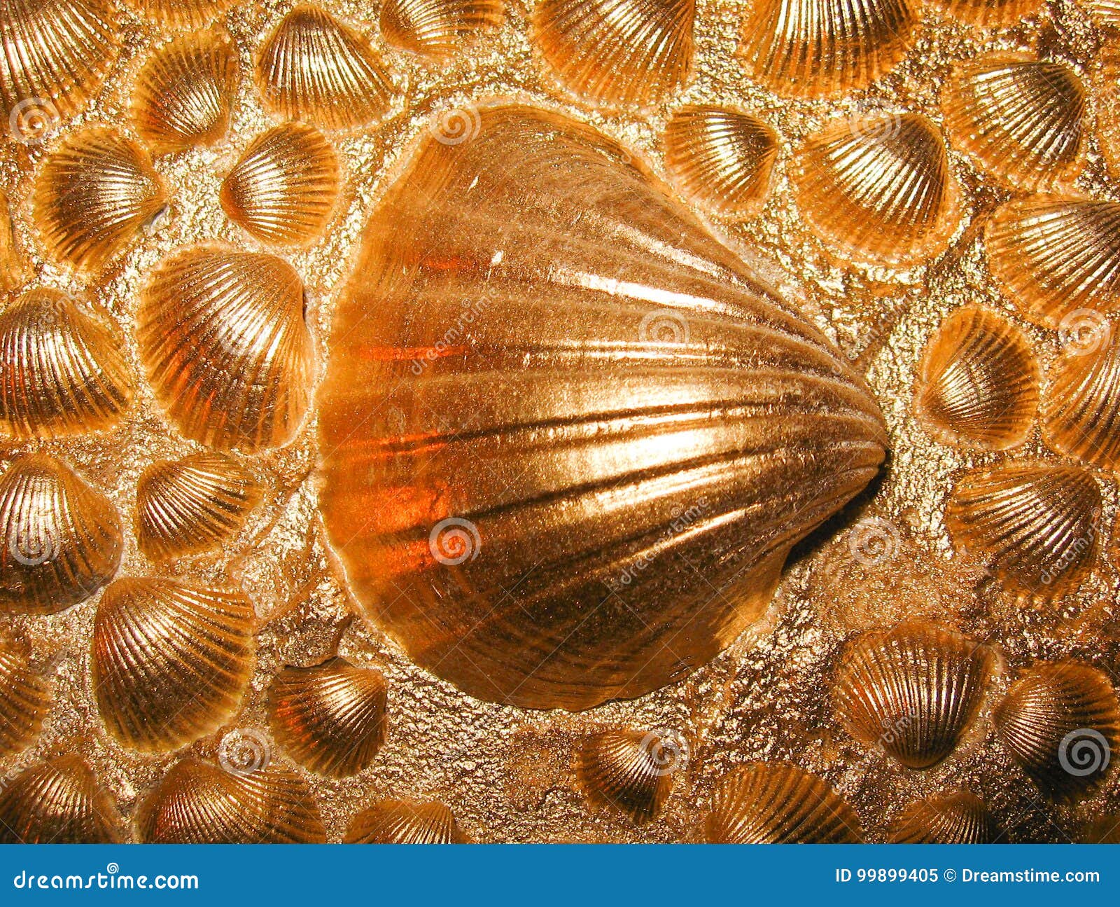 Gold seashells stock image. Image of gold, plaster, line 99899405