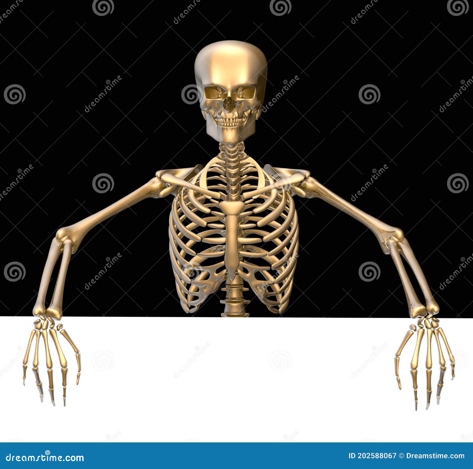 Gold Skeleton Show Ads - 3D Illustration Animated Cartoon Character Stock  Illustration - Illustration of dead, horror: 202588067
