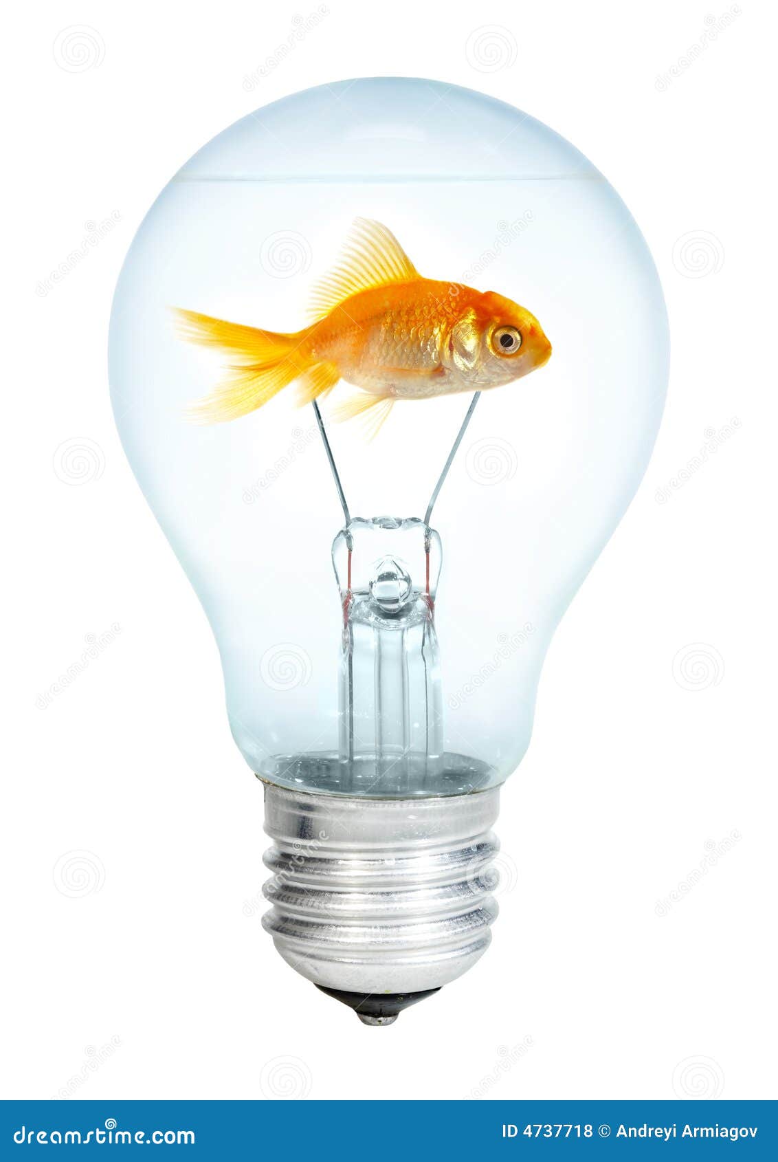 Gold Small Fish In Light Bulb Royalty Free Stock Photos Gold Small Fish In Light Bulb Royalty Free Stock Photos