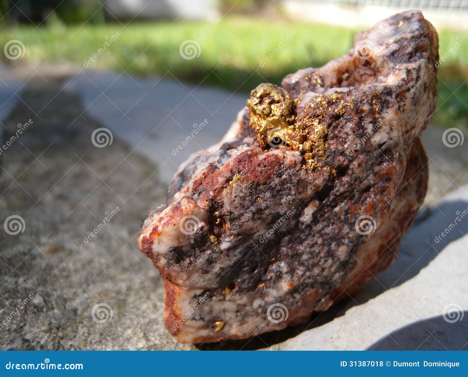 Gold specimen stock photo. Image of specimen, rare, precious 31387018