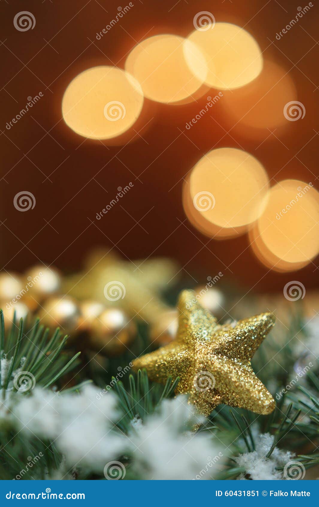 Gold star in evergreen stock image. Image of snowy, christmas - 60431851