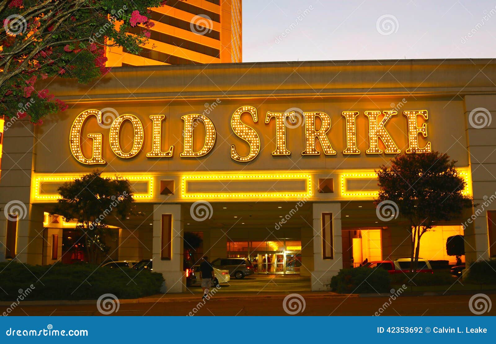 gold strike inn