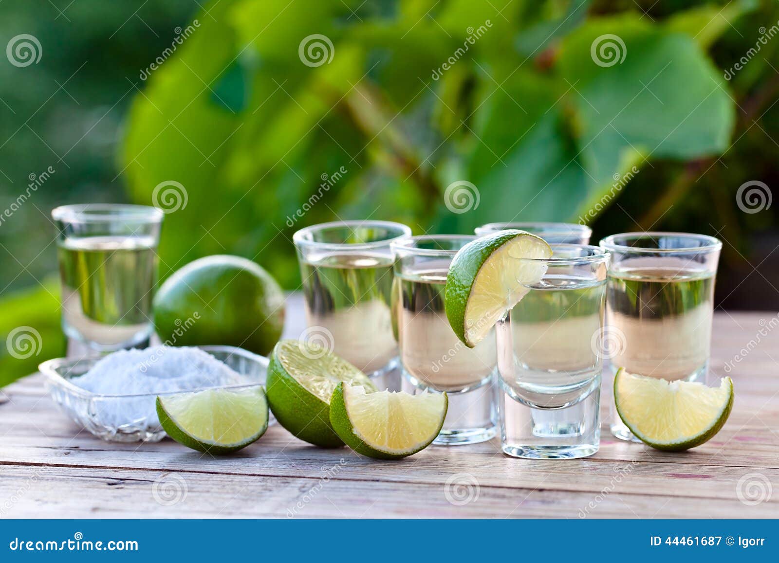 Gold Tequila with Salt and Lime Stock Image Image of nature, booze