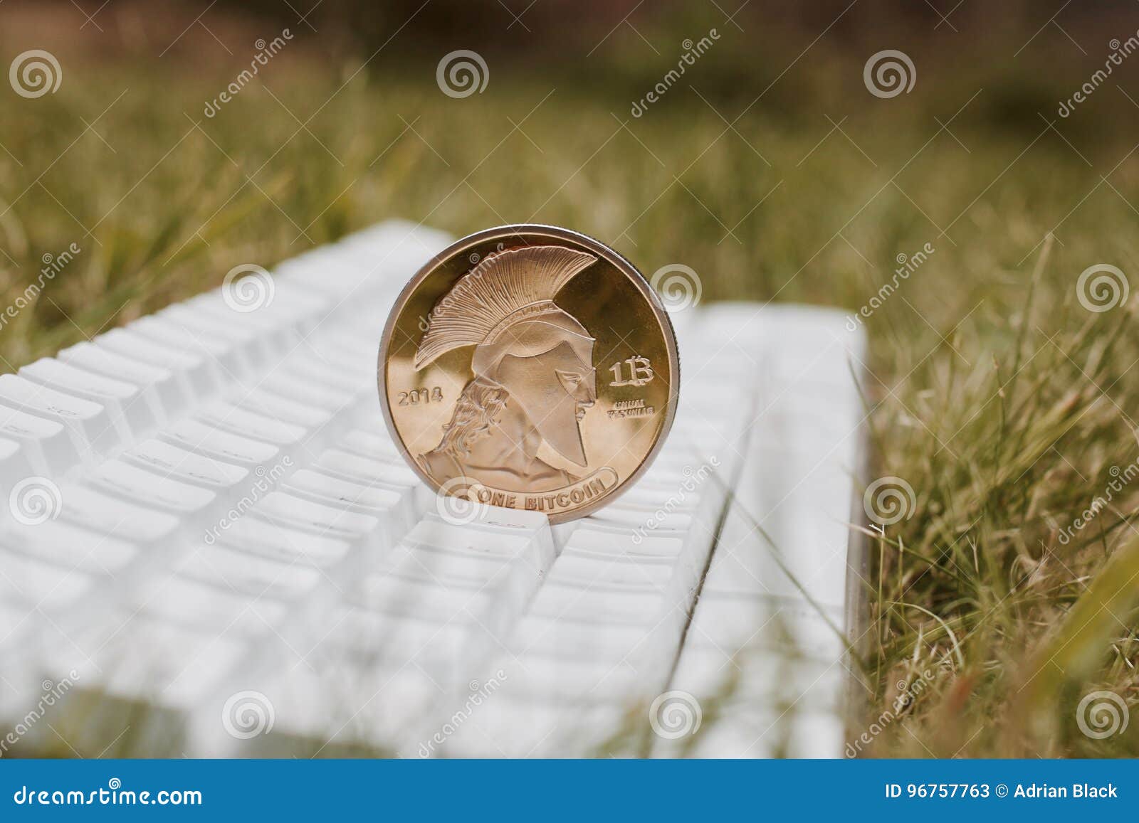 174 Titan Bitcoin Stock Photos - Free & Royalty-Free Stock Photos from  Dreamstime