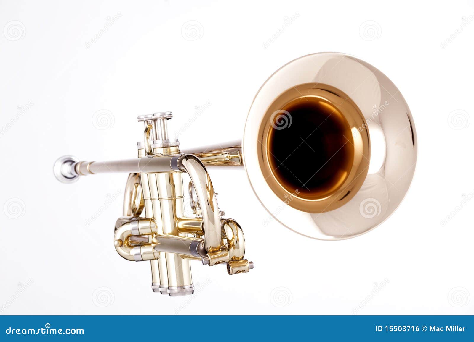 Gold Trumpet Isolated on White Stock Photo Image of brass, white