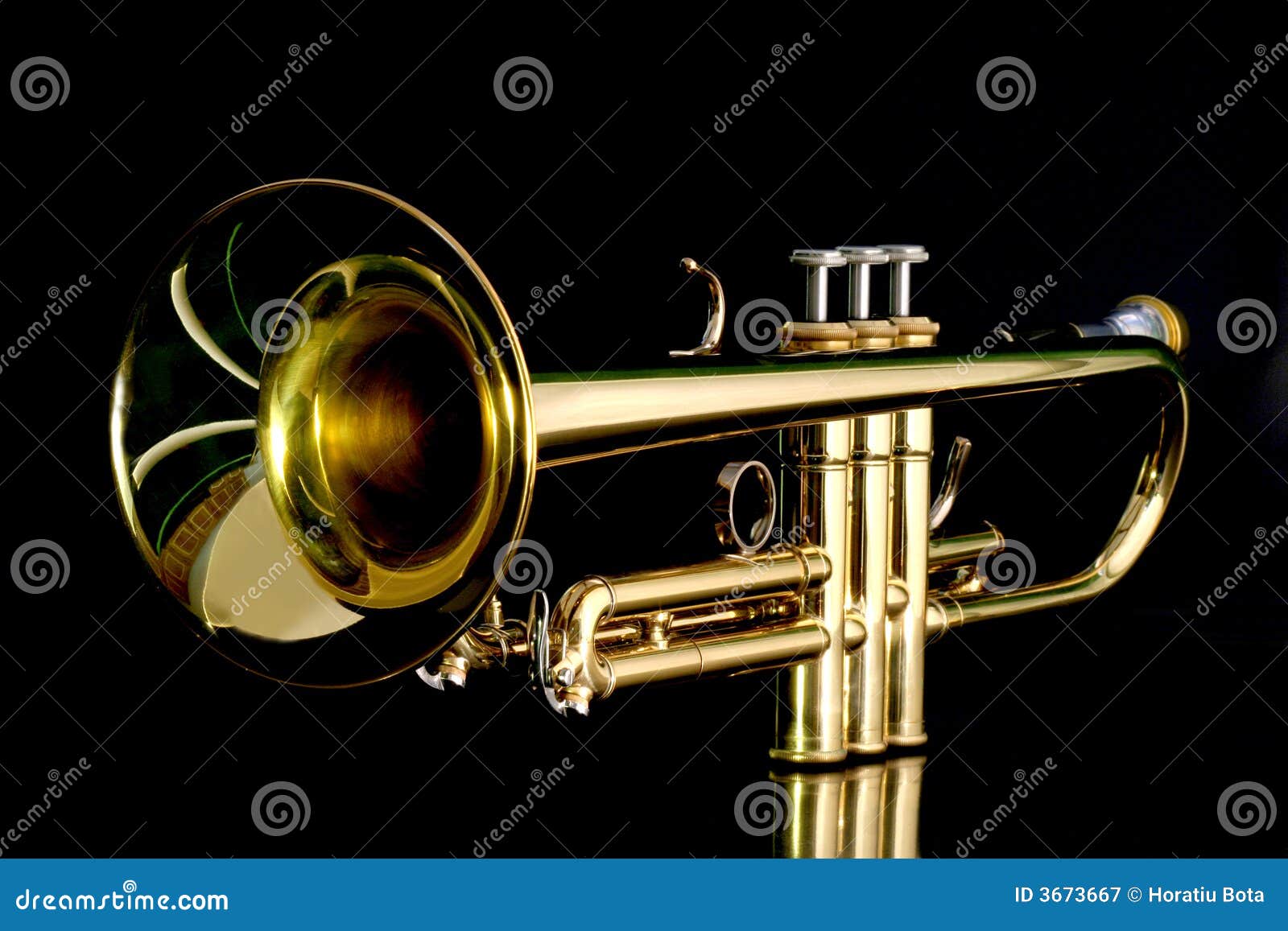 gold trumpet in night