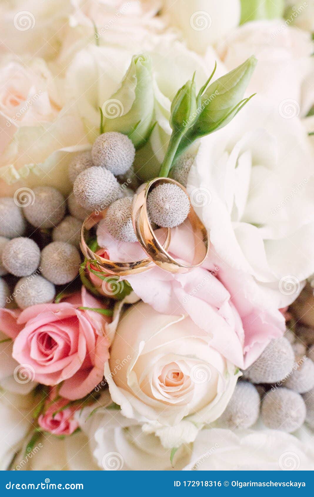 Gold Wedding Rings in Flowers Closeup Stock Photo Image of ceremony