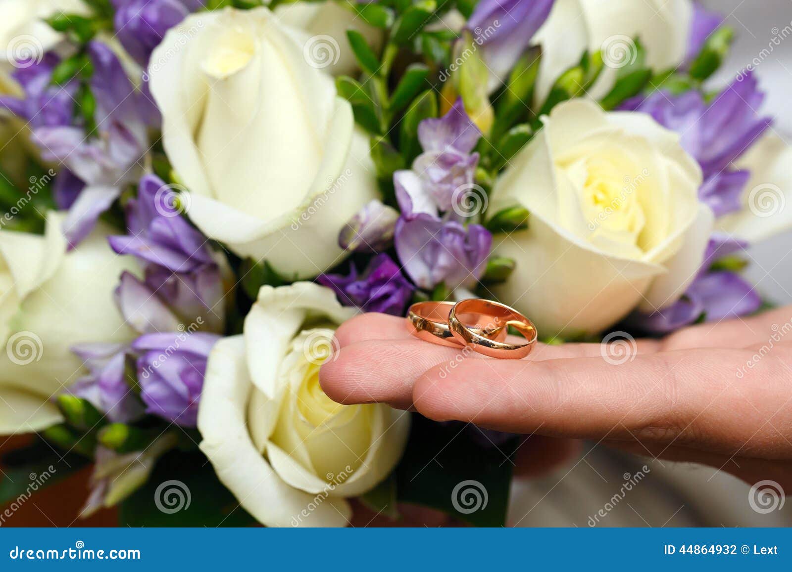 Gold Wedding Rings on Hand of the Groom Stock Photo Image of wedding