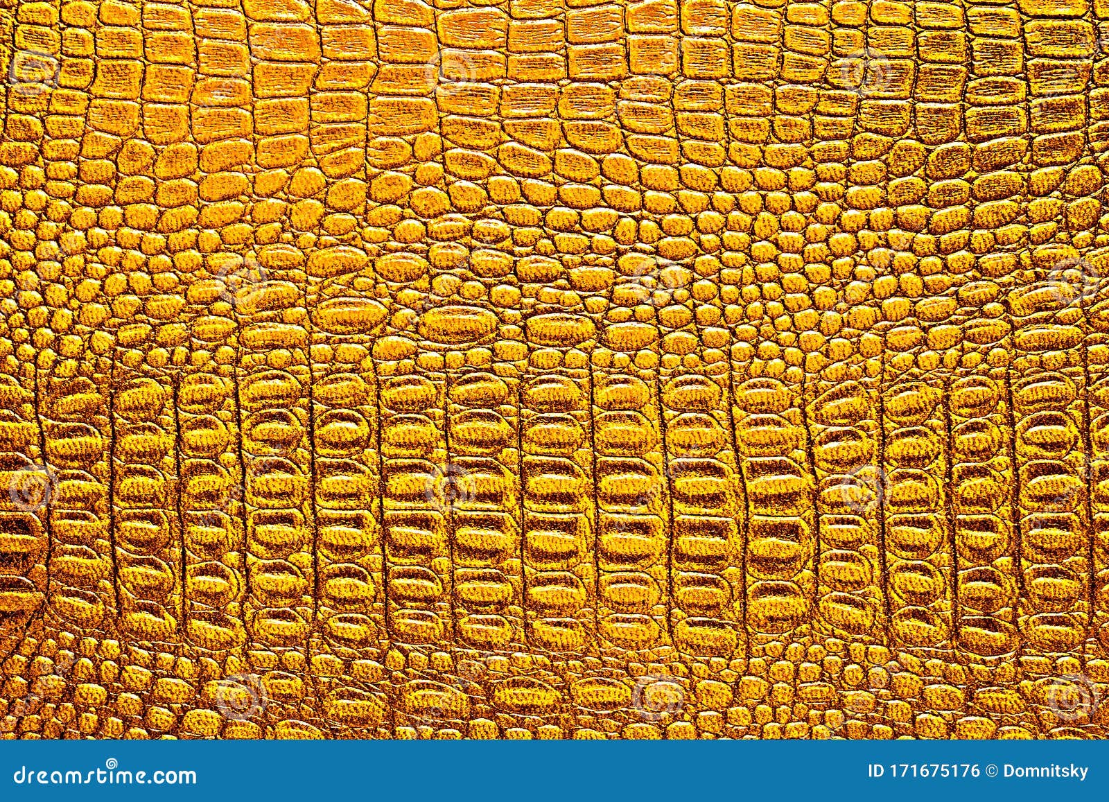 Golden Alligator Patterned Background Stock Photo Image of pattern