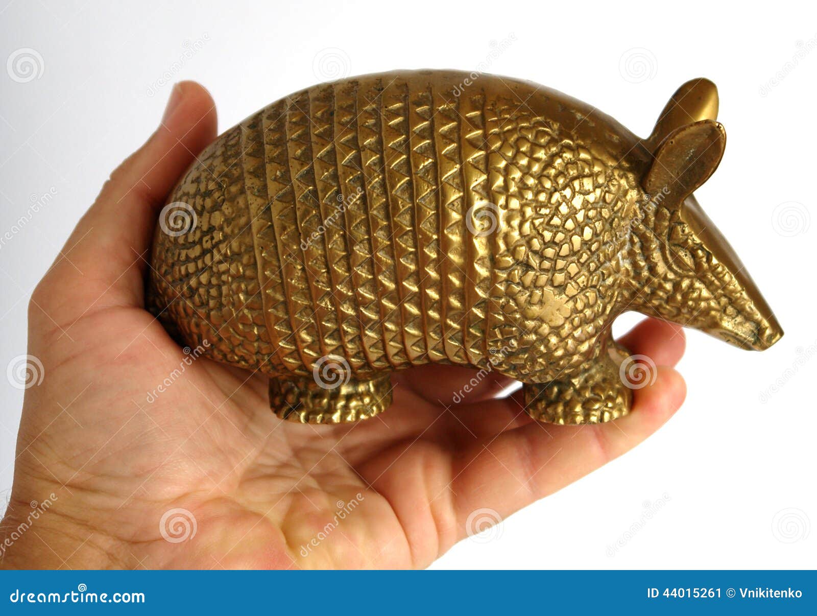 Golden armadillo stock image. Image of battleship, prairies 44015261