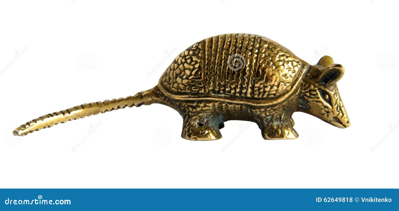 The Golden armadillo stock photo. Image of armadillo 62649818