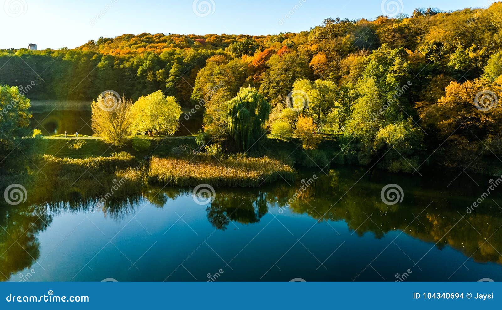 golden autumn background, aerial view of forest with trees and lake landscape from above