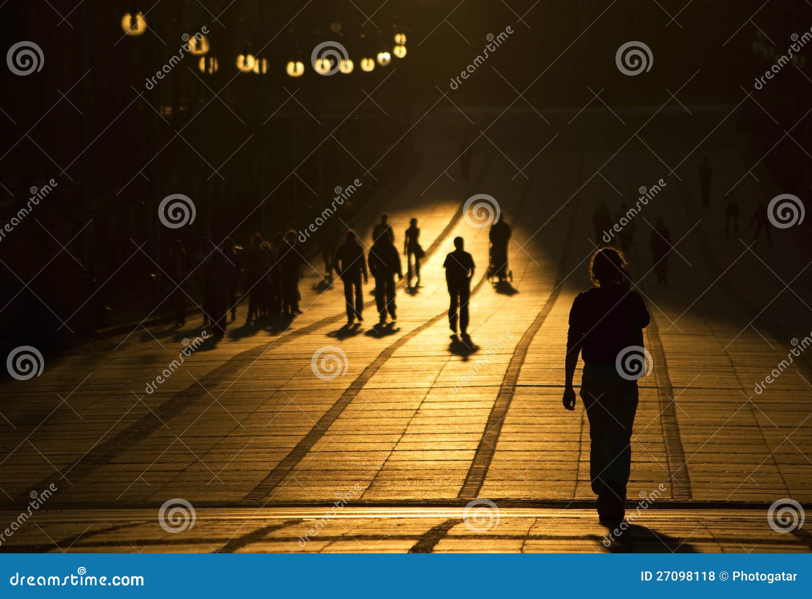 Golden avenue stock photo. Image of golden, lantern, lights 27098118