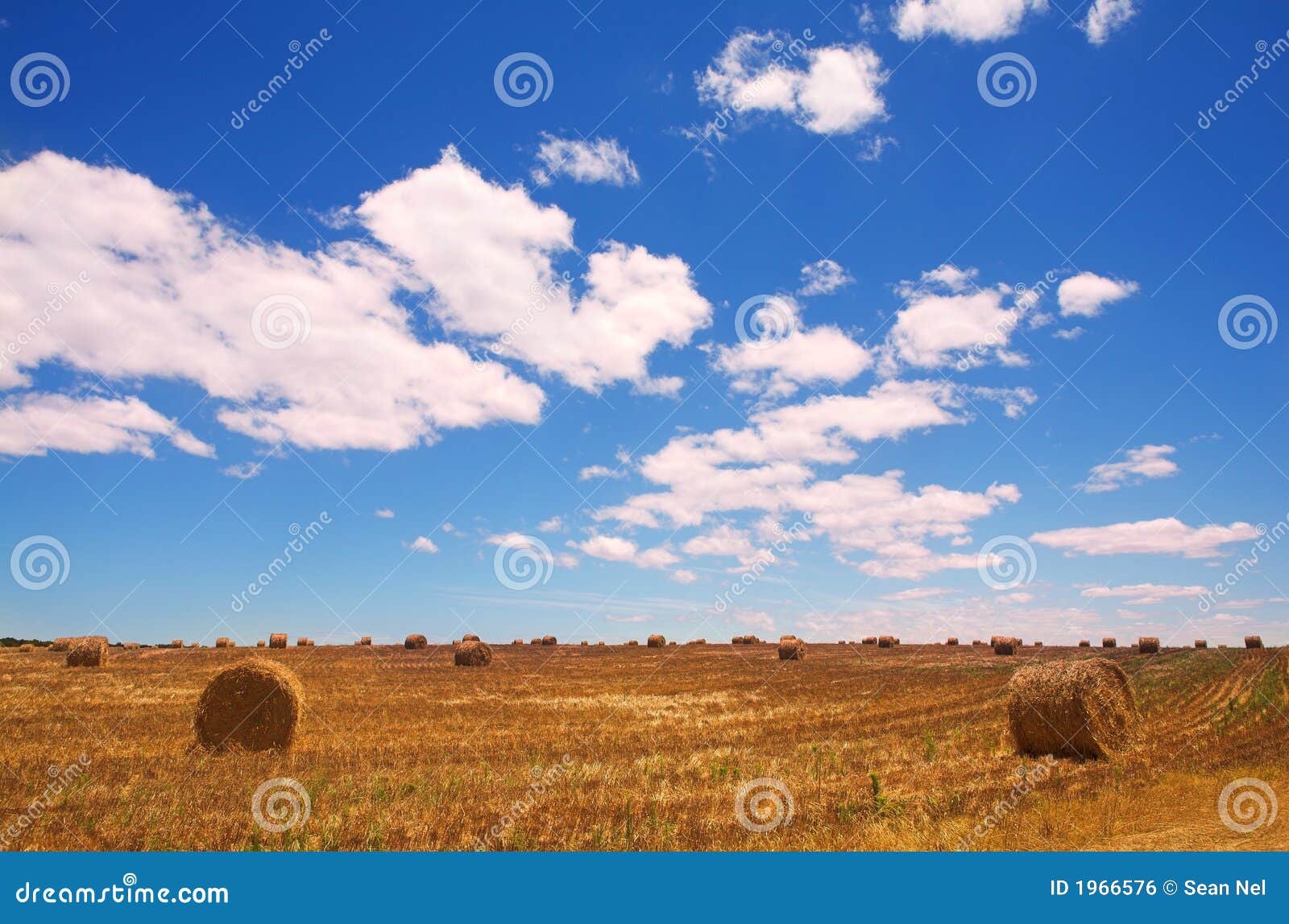 Golden Bales of Hay on the Lands Stock Photo Image of nature, clouds