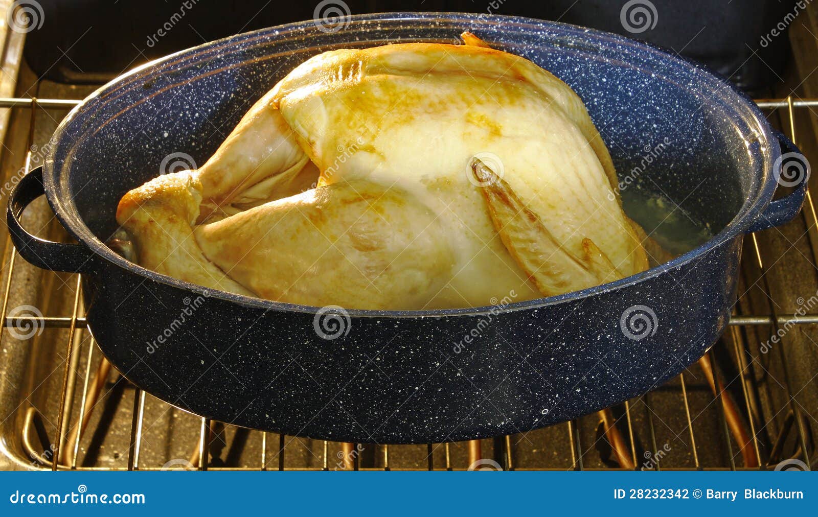 Golden Brown Turkey stock photo. Image of bounty, fresh 28232342
