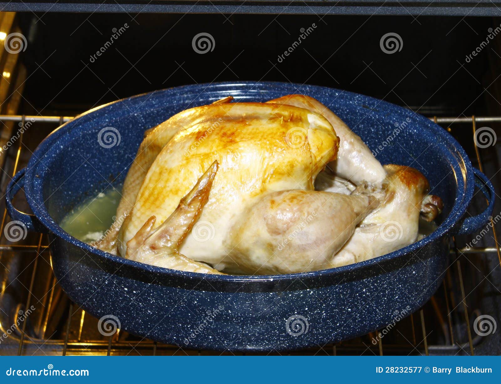 Golden Brown Turkey stock image. Image of baked, golden 28232577