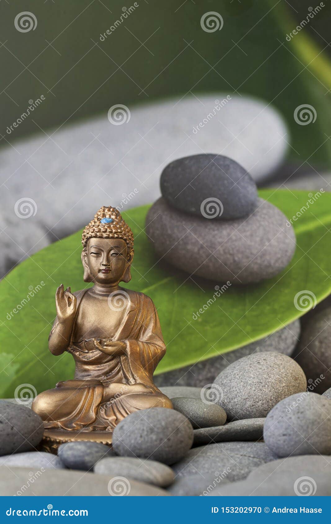 Golden Buddha with Leaf and Pebble Stock Photo - Image of simplicity ...