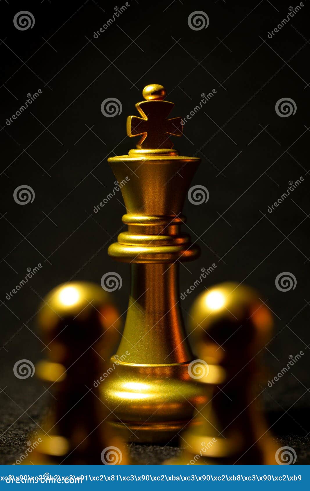 Golden Chess Pieces King and Queen on a Black Background Stock Image