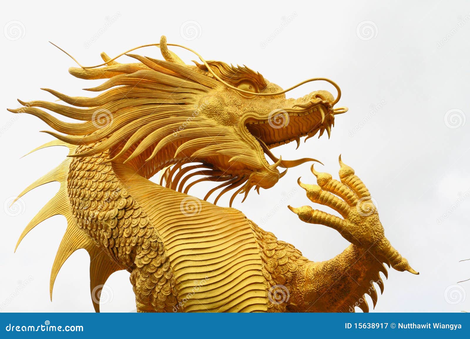 Where can I find dragon stock images?