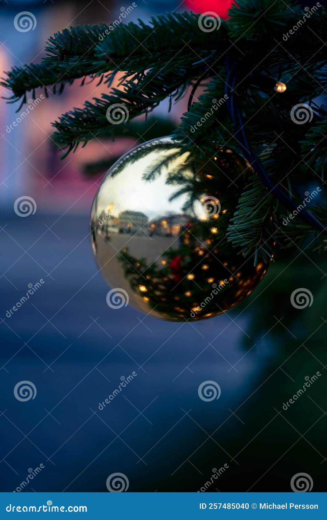 Golden Christmas Bauble in Pine Tree Showing the Reflection of the ...