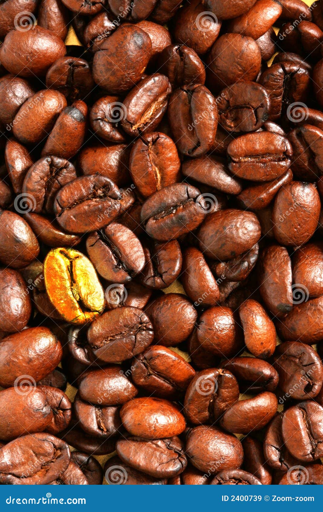 Golden coffee bean