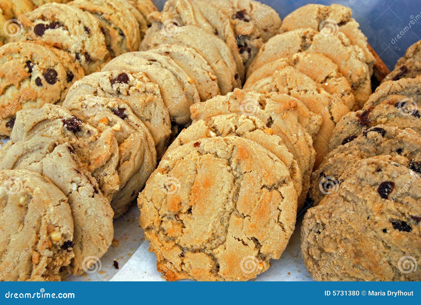 Golden Cookies stock photo. Image of bakery, delicious 5731380