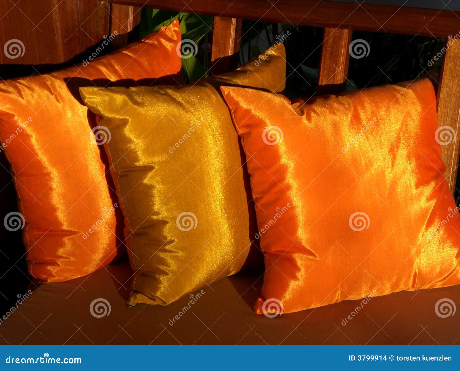 golden cushions 2