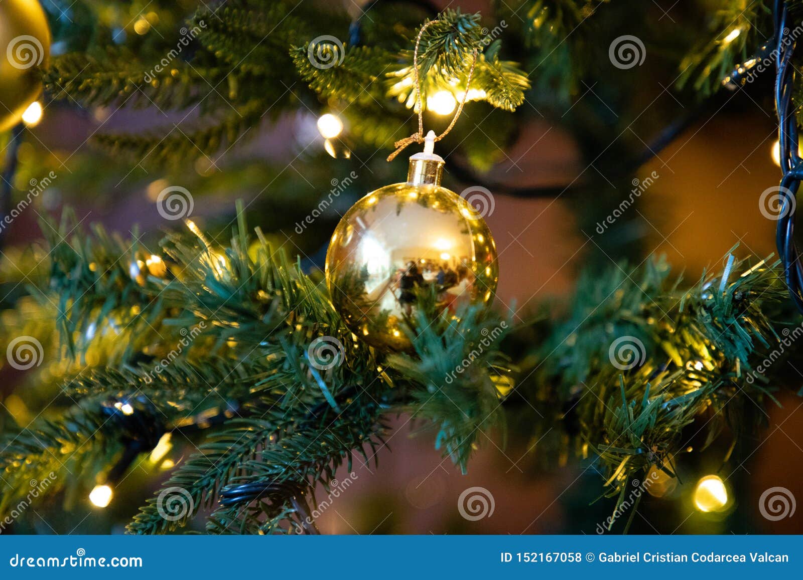 Golden Decoration Globe on Christmas Tree Close Up Stock Photo Image