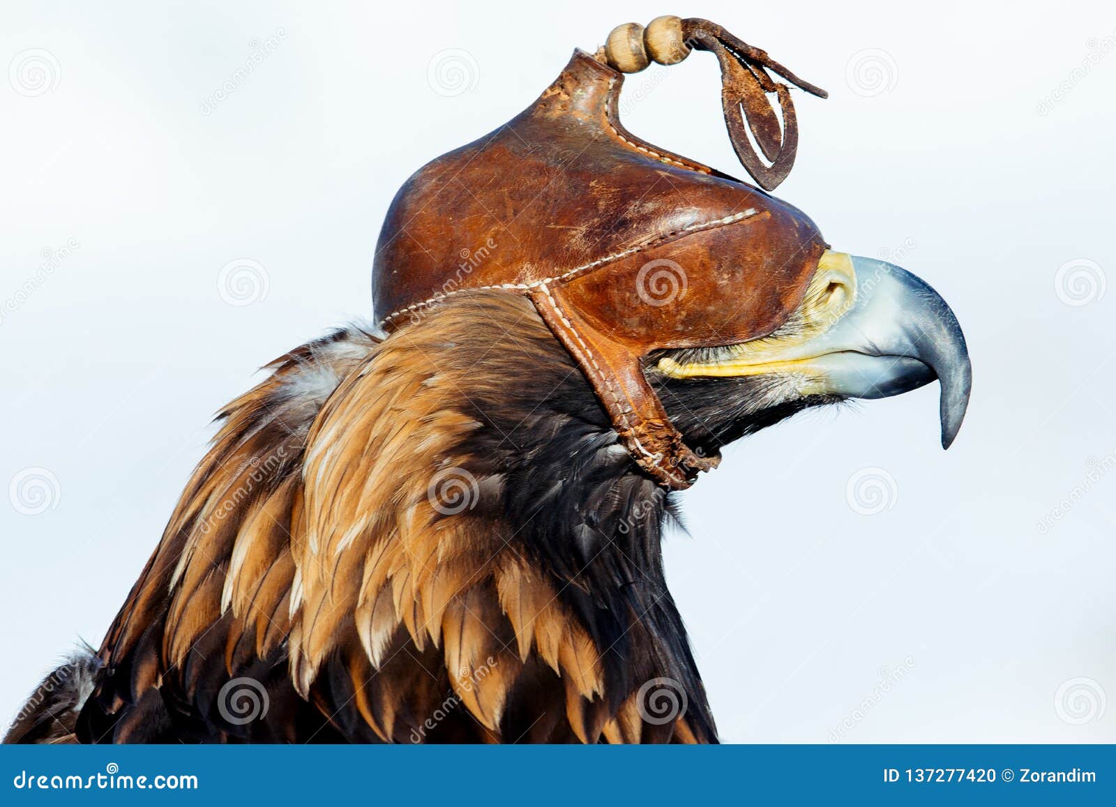 eagle cap