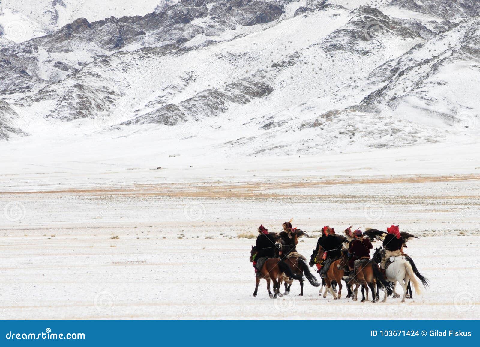 golden eagle festival in winter snowy mongolia