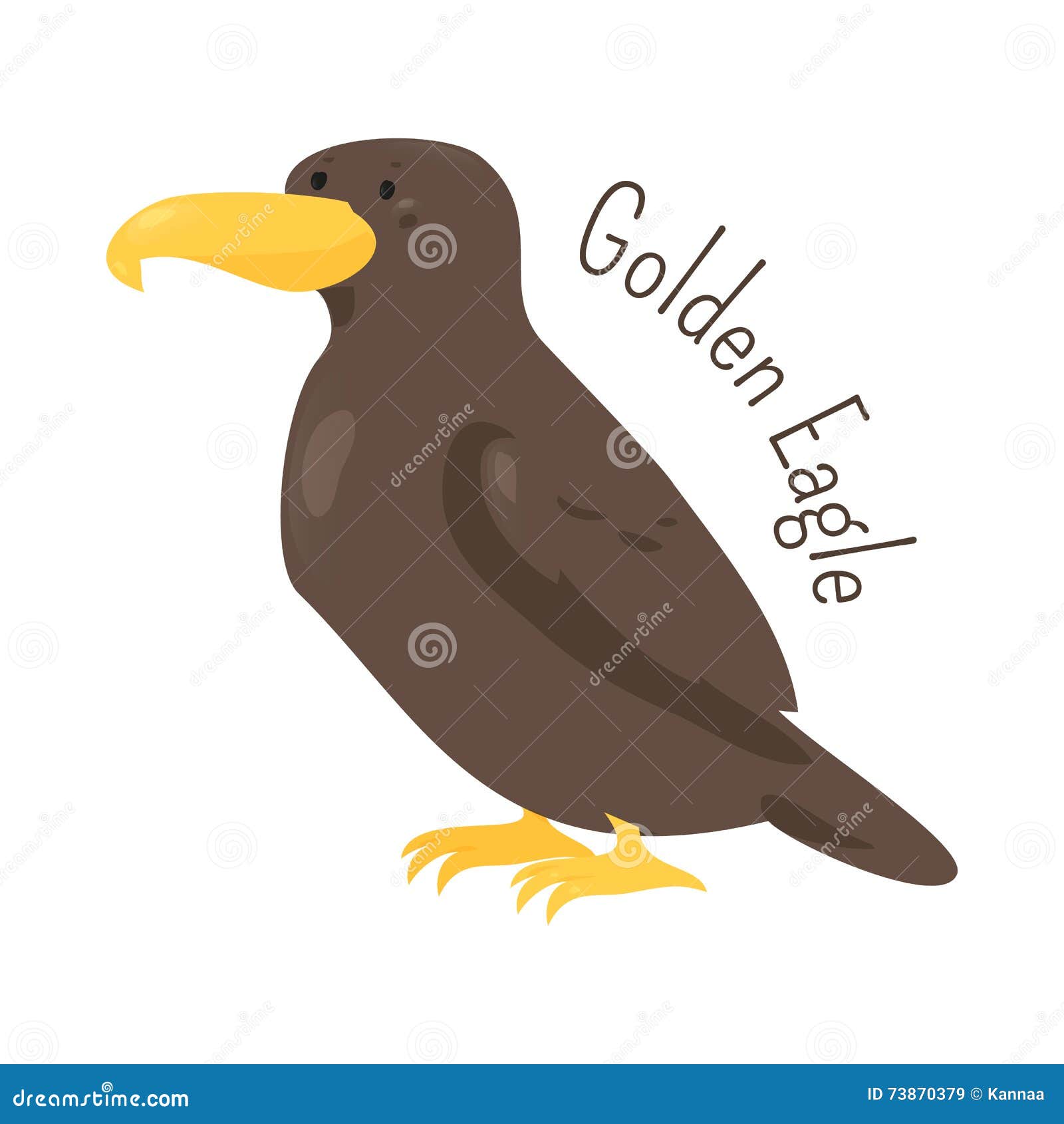 golden eagle  on white