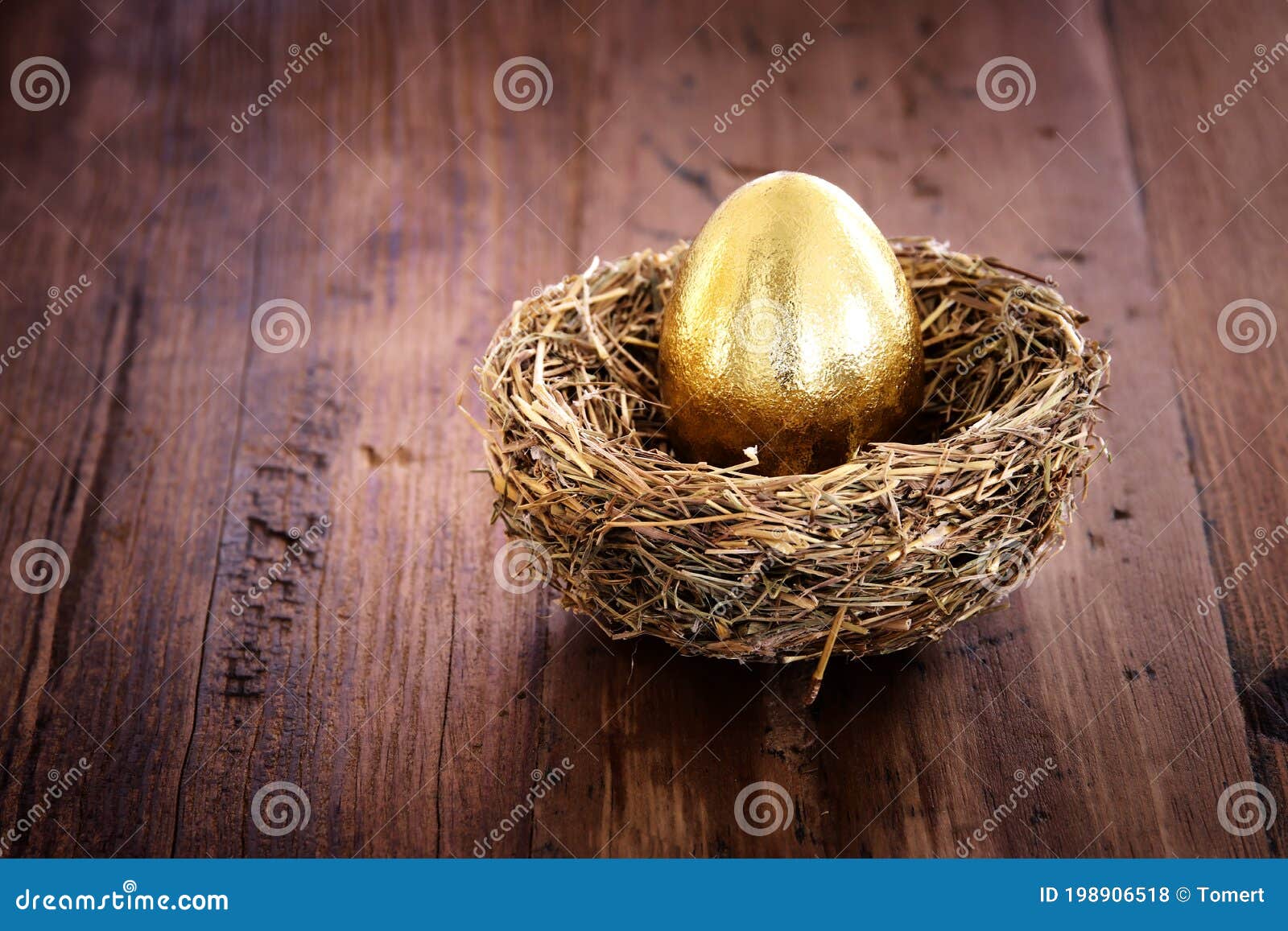 golden egg in nest. concept of investments, savings and pensions