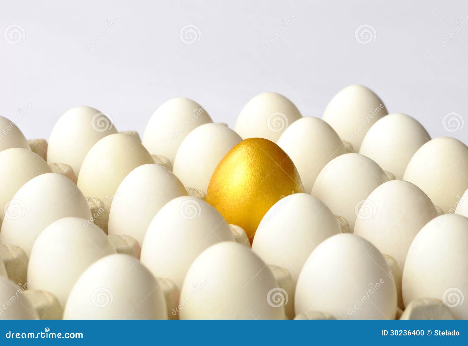 Golden Egg among White Eggs Stock Photo Image of finance, perspective