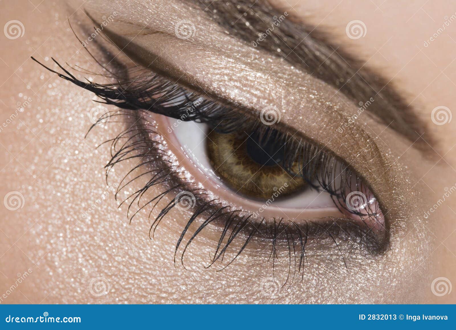 Golden eye Royalty Free Vector Image - VectorStock