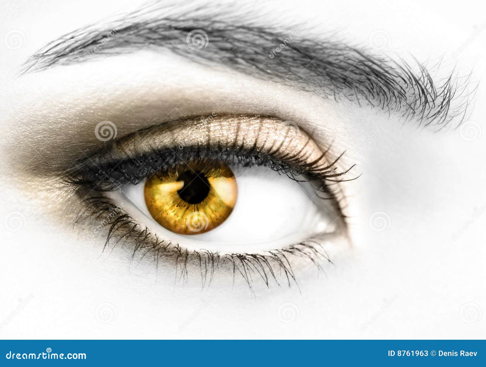 golden Eyes Picture #131934078