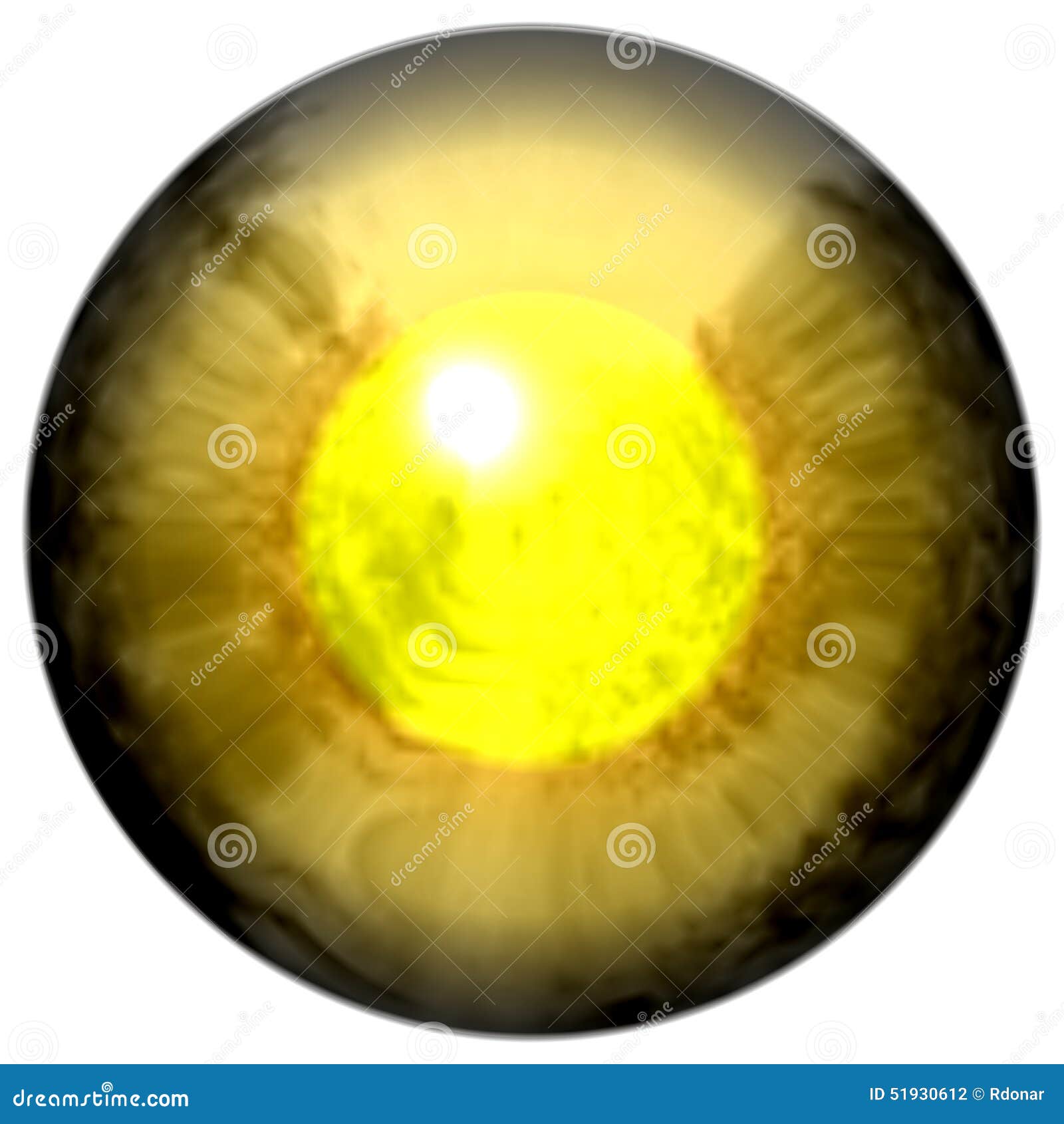 Golden Eye Images – Browse 160,060 Stock Photos, Vectors, and Video
