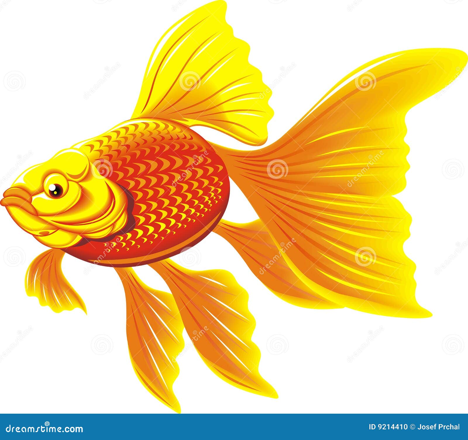 Download Fish Gold Fish Drawing Royalty-Free Stock Illustration