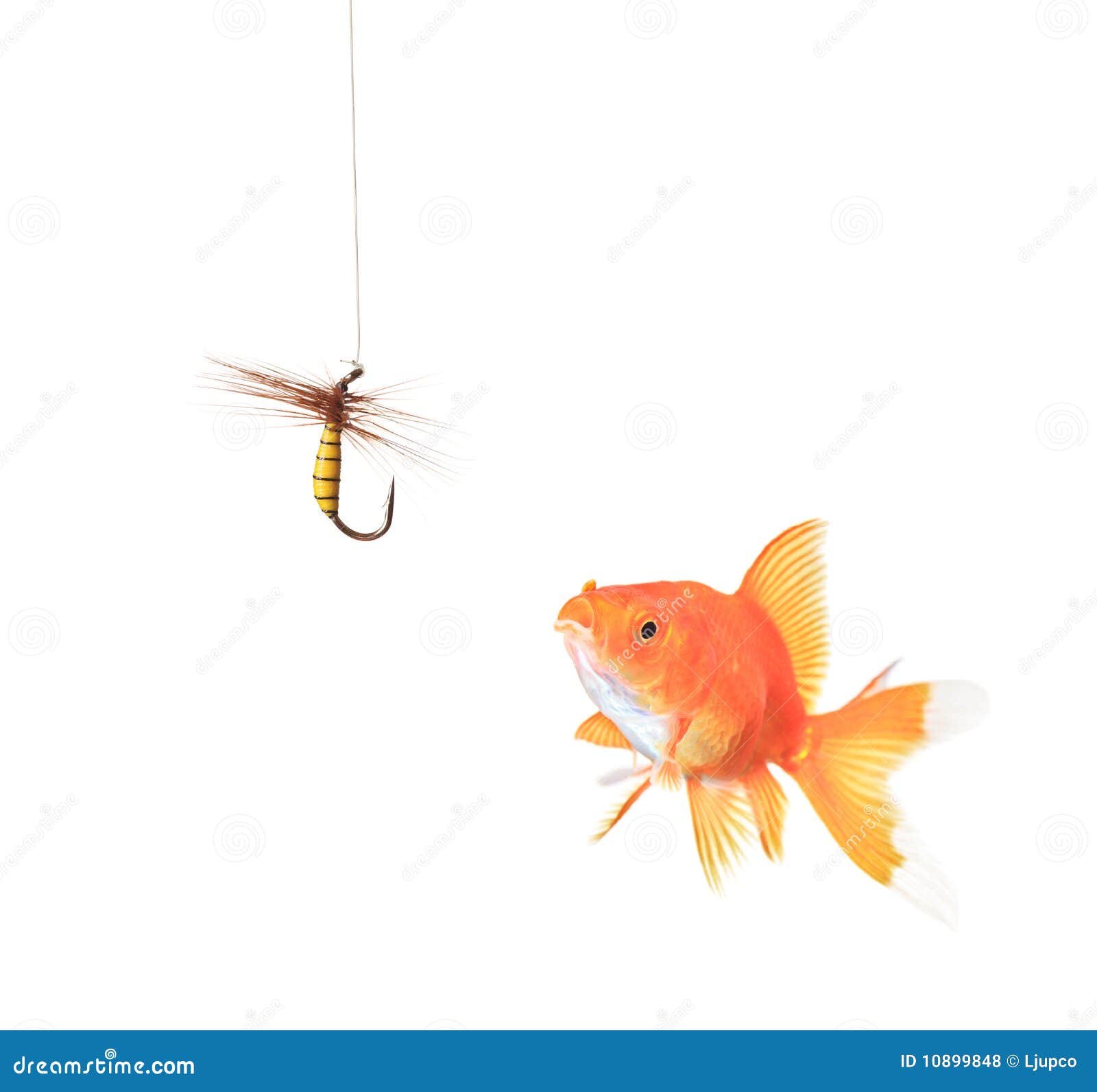 My Image 21