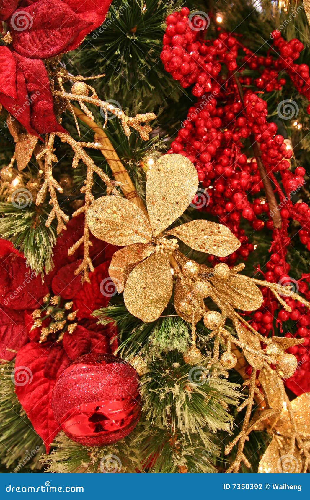 Golden Flower stock photo. Image of christmas, pretty - 7350392