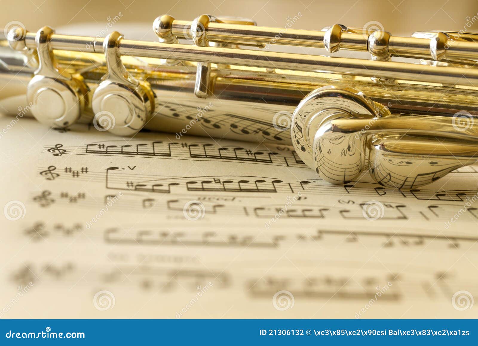 Golden Flute stock photo. Image of metal, instrument - 21306132
