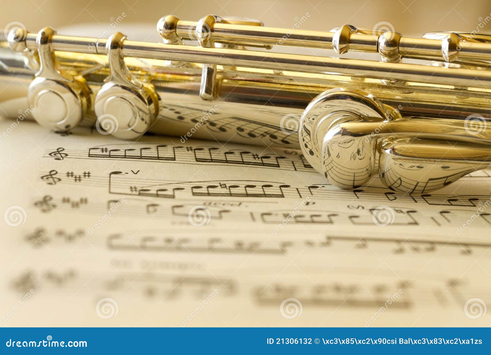Golden Flute stock photo. Image of metal, instrument 21306132