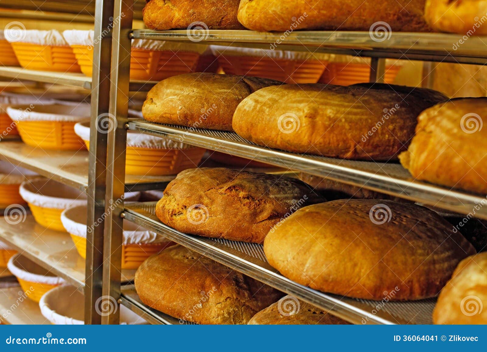 Golden Fresh Baked Bread in Bakery Stock Image Image of cereal, shop