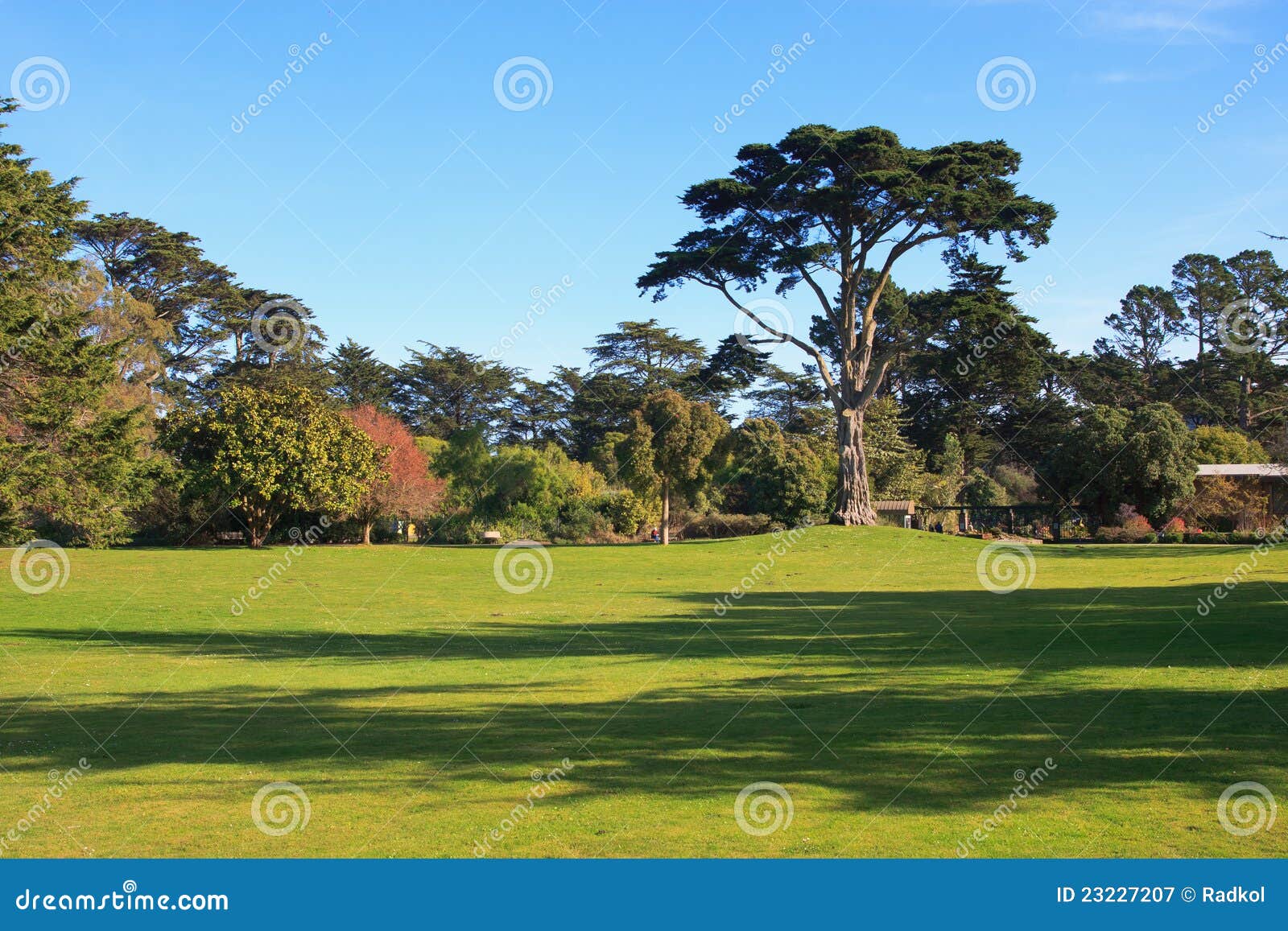 Golden Gate Park stock image. Image of california, francisco 23227207