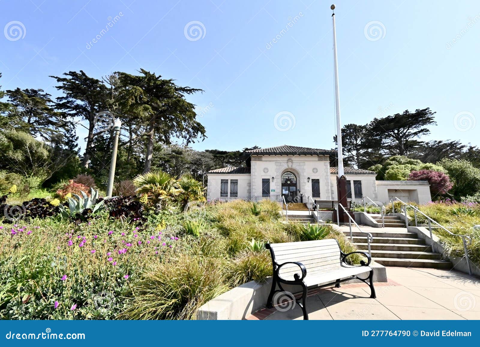 golden gate park senior center san francisco 8