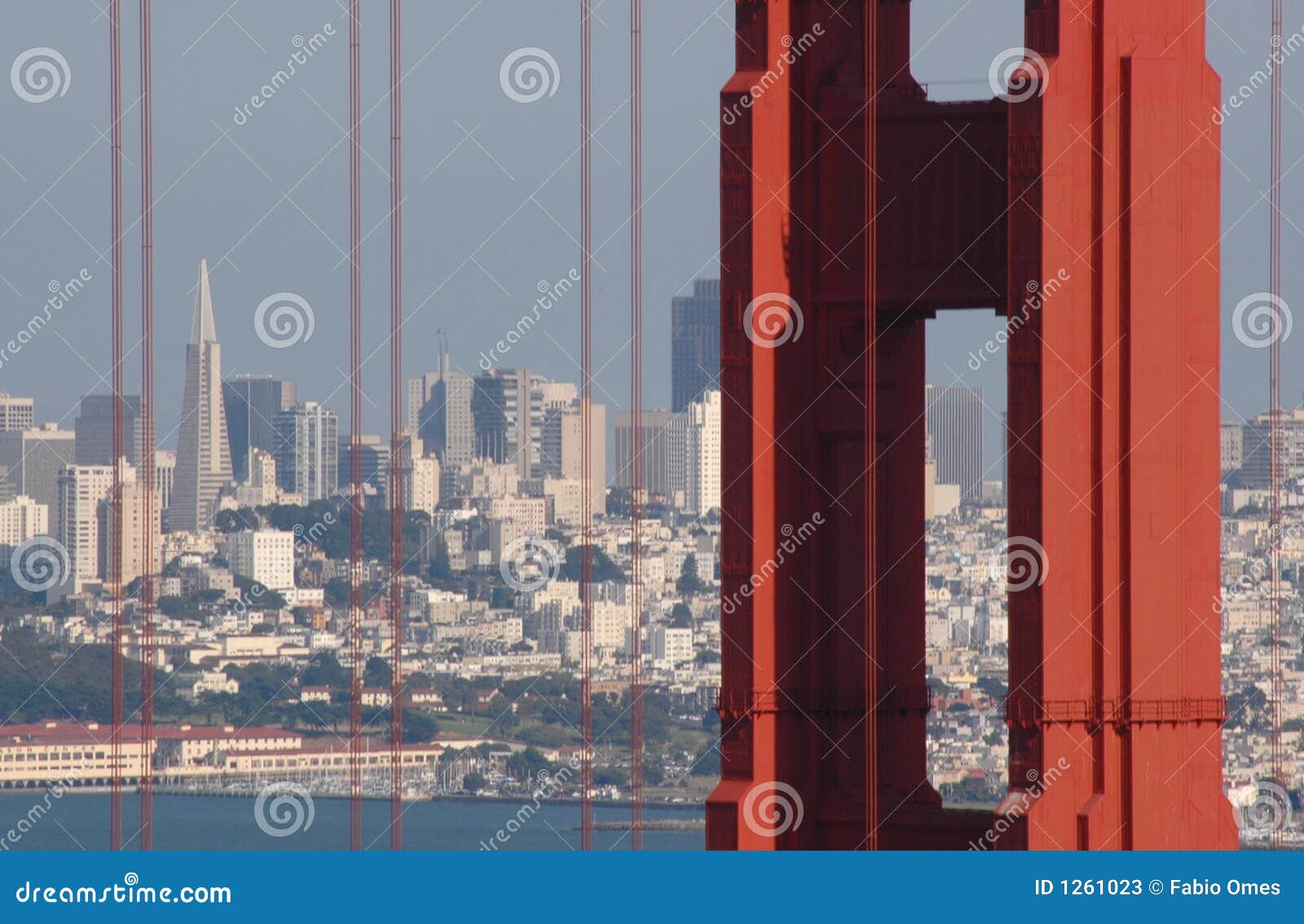 golden gate and san francisco.