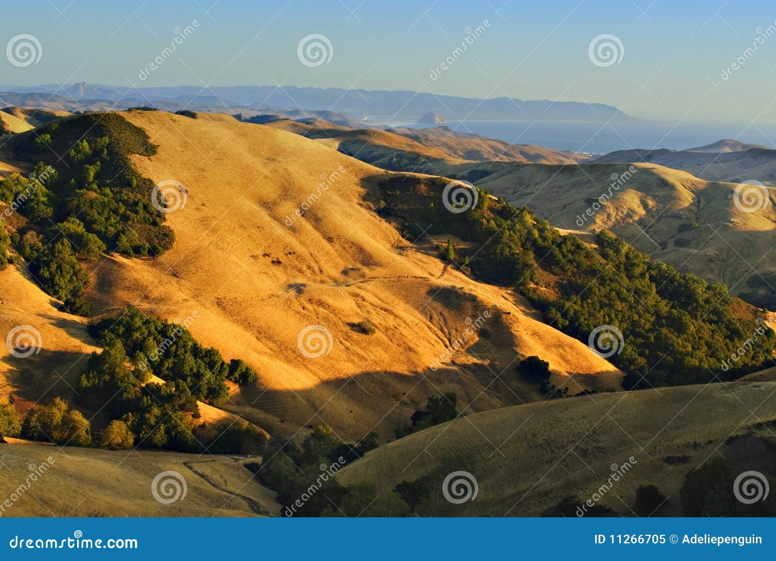 golden hills of california