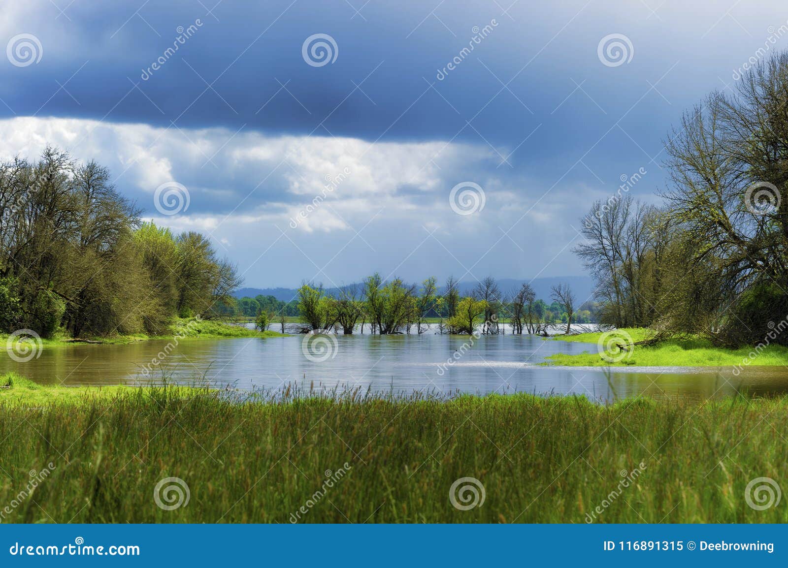 spring rains flood the already saturated wetlands on sauvie isl