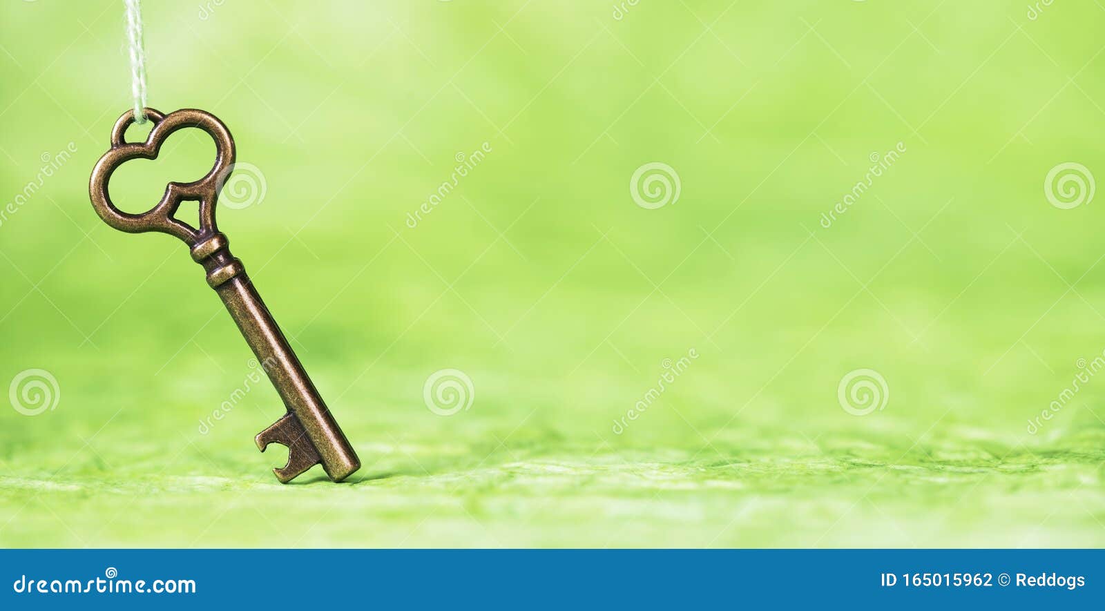 golden key on green background, possibility, success concept, web banner