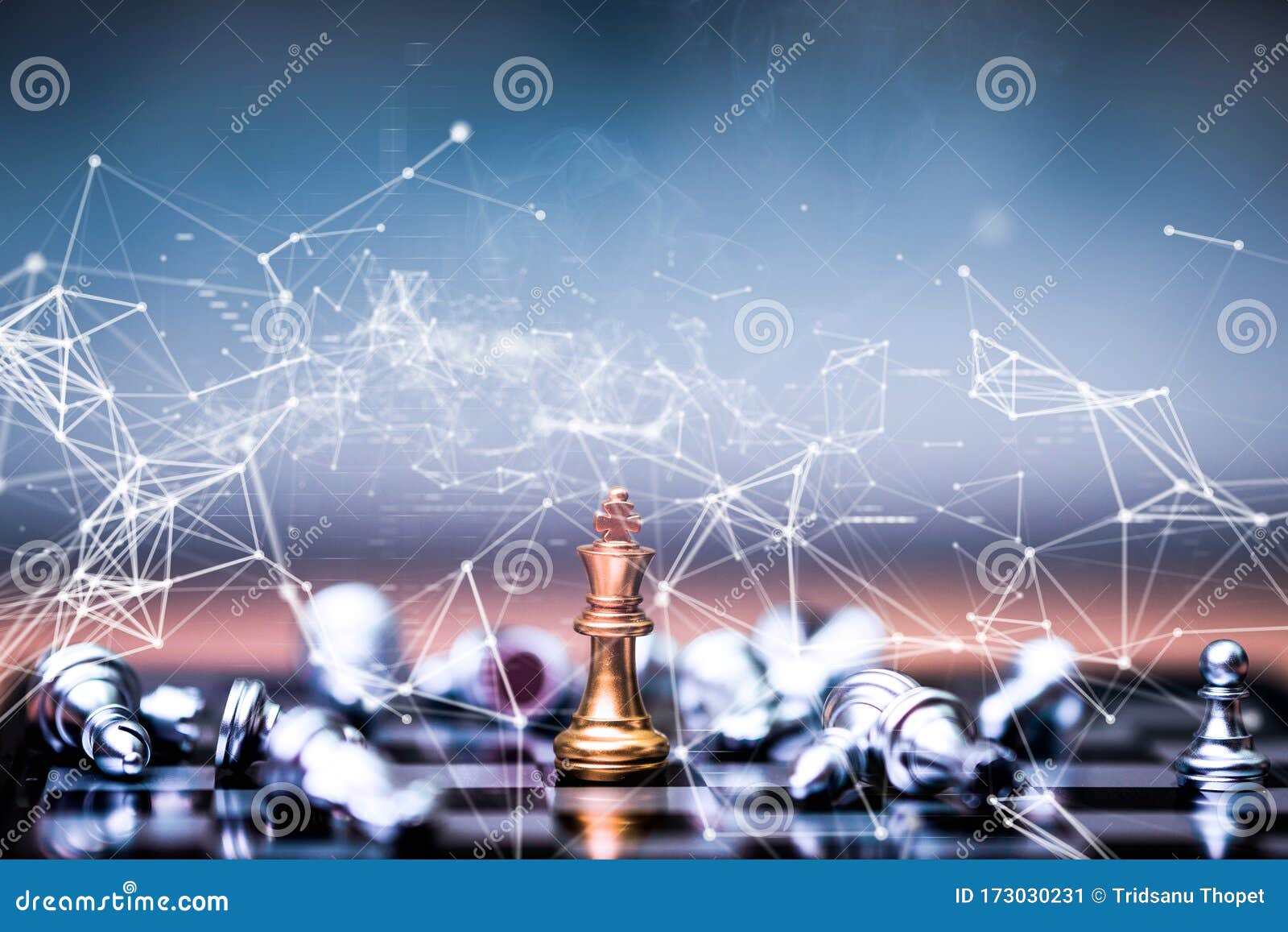 CYBER CHESS - Virtual Images Of A Cyber Chess Visualisation