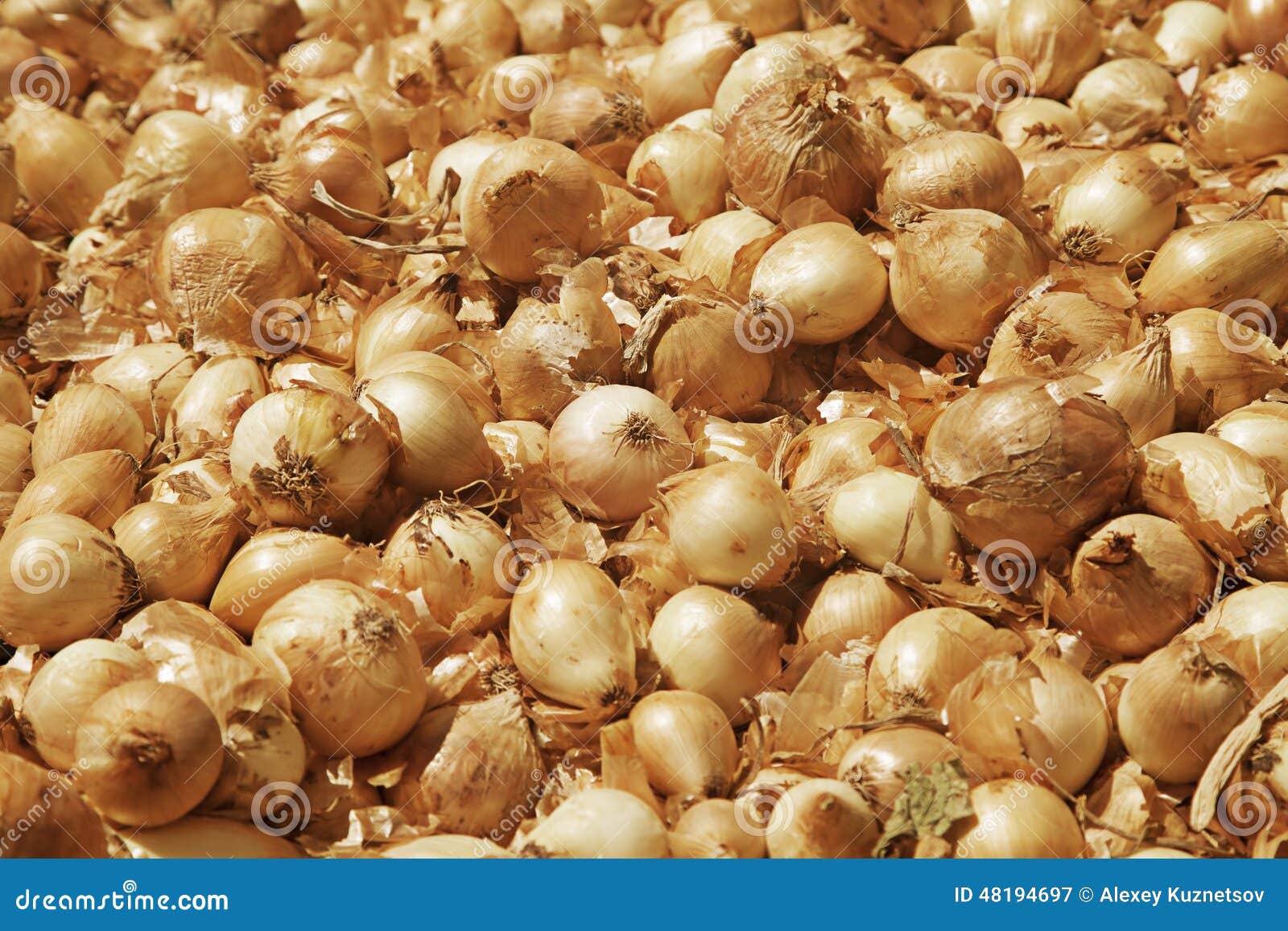 Golden large onion stock image. Image of backgrounds 48194697